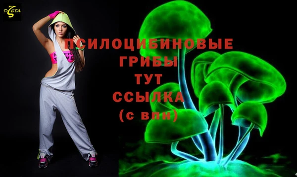 дмт Алексин