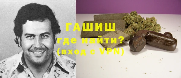 дмт Алексин