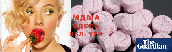 прущие грибы Алзамай