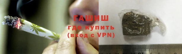 прущие грибы Алзамай