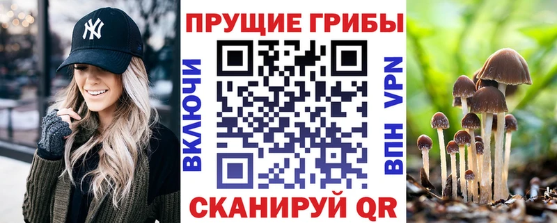 omg ссылки  Долгопрудный  Псилоцибиновые грибы ЛСД  хочу  
